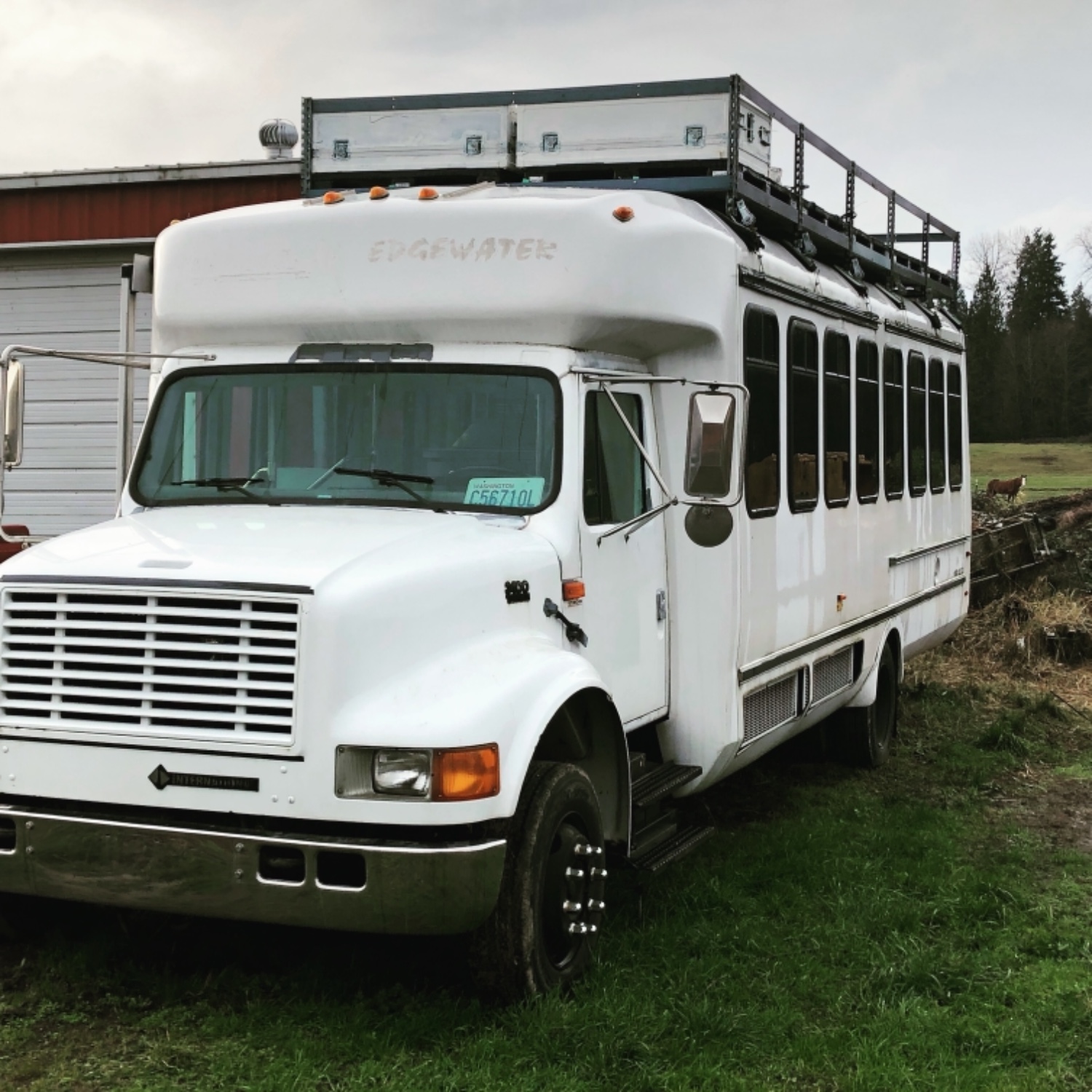 Big White Food Bus Food Truck Schedule American, BBQ, Sandwiches